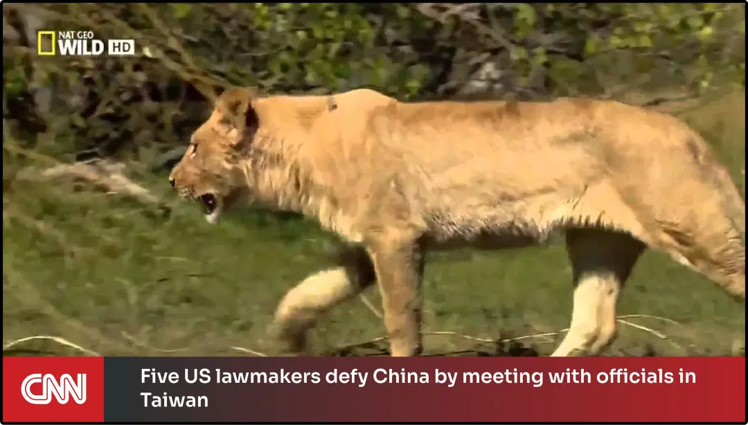 Step 6: Digital signage software interface showing Live DTH app and CNN news app content in digital screen