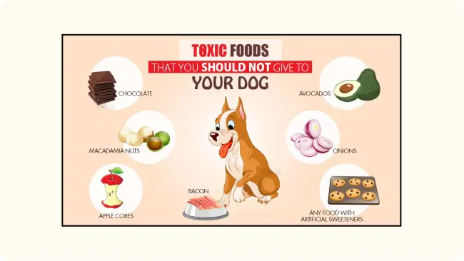 Veterinary digital signage improving client engagement Veterinary digital signage improving client engagement