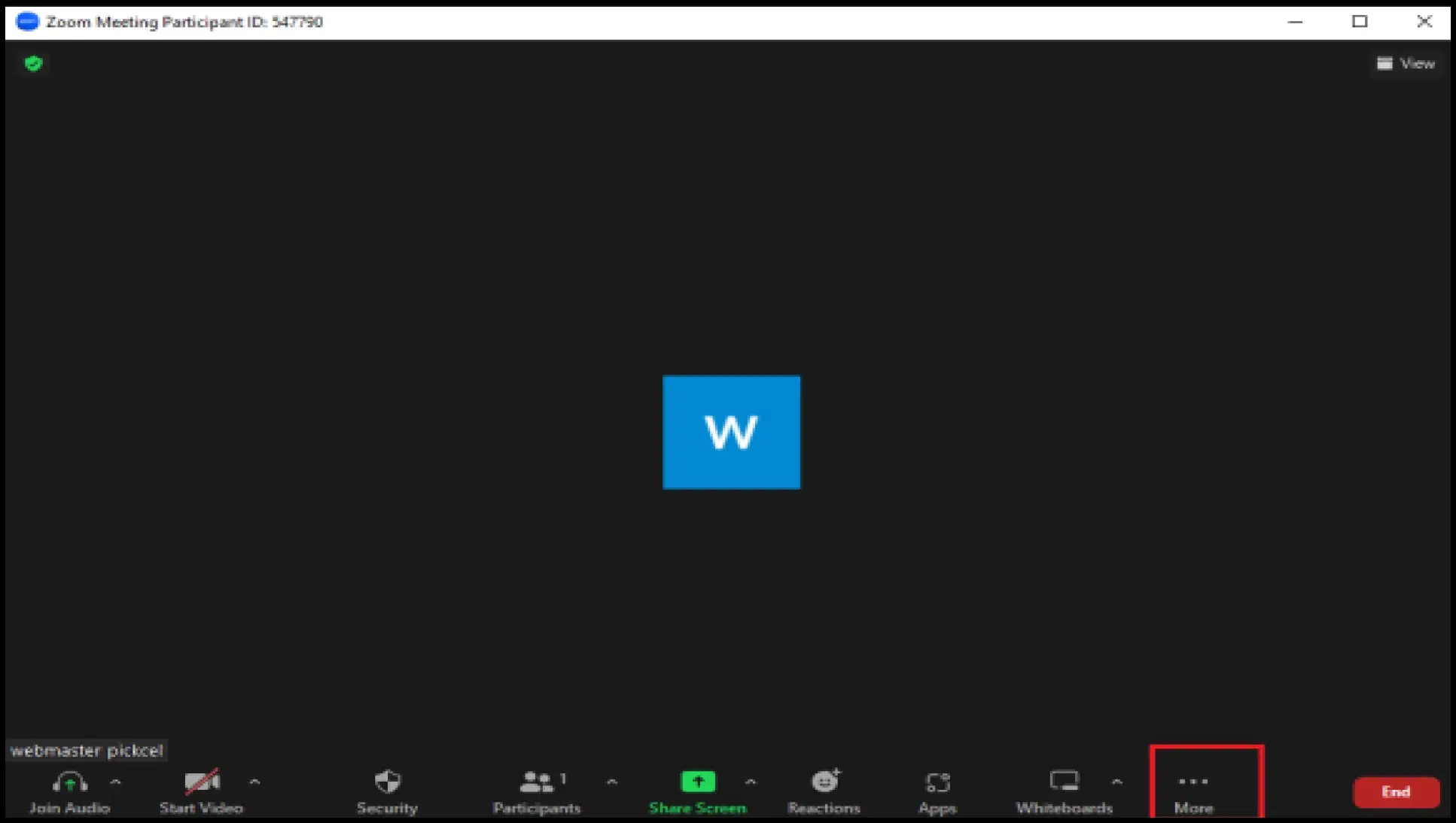 Start your Zoom meeting