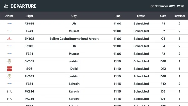 Flight Information System preview