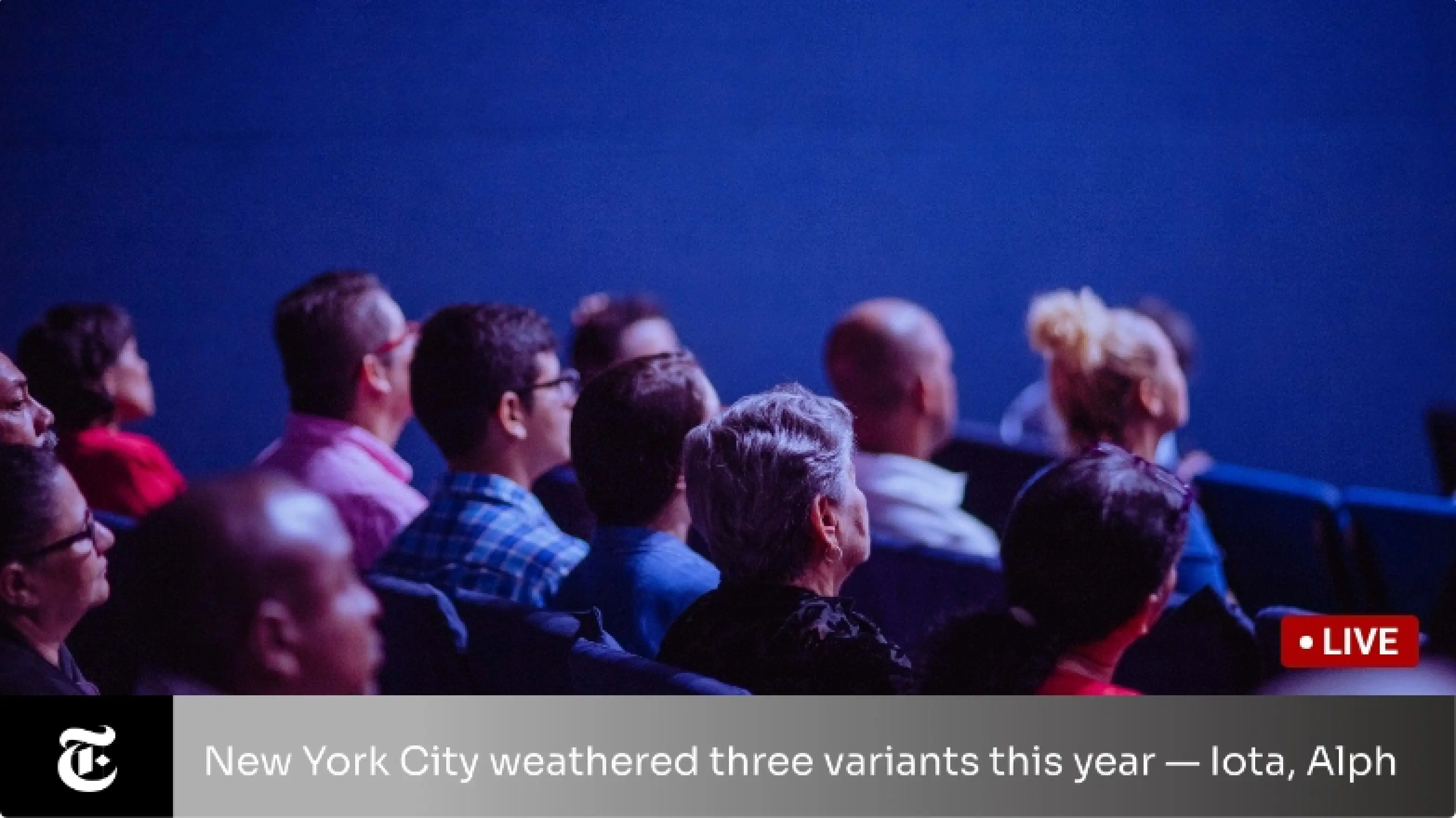 NYT news app NYT news app