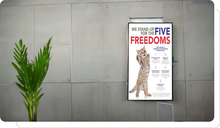 Digital signage showing animal welfare initiatives Digital signage showing animal welfare initiatives