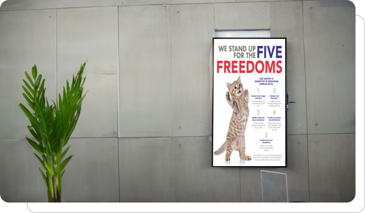Digital signage showing animal welfare initiatives Digital signage showing animal welfare initiatives