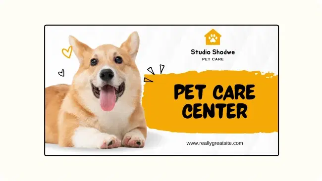 Custom content creation for pet store digital signage Custom content creation for pet store digital signage