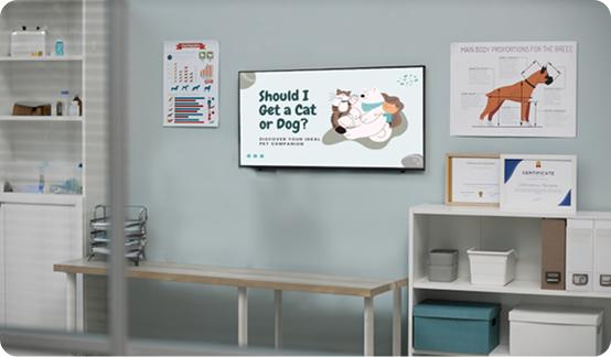 Pet Stores digital signage Pet Stores digital signage