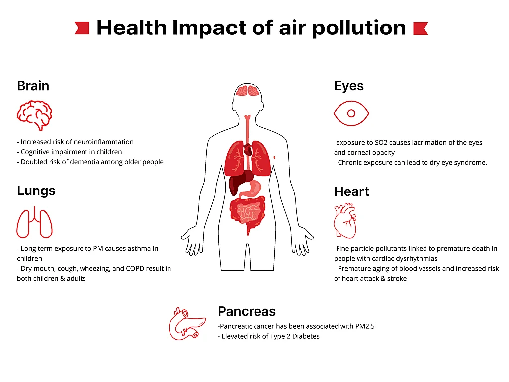 Infographic showing the adverse health effects of air pollution on lungs, heart, eyes, pancreas & brain with the illustration of a human anatomy