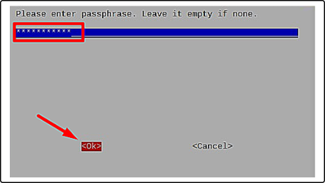 raspberry pi password setup window