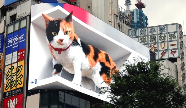 3D digital billboard showing Japan's famous calico cat at Shinjuku station