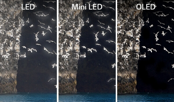 Image showing the difference between pixel resolutions of LED, mini LED and OLED screens