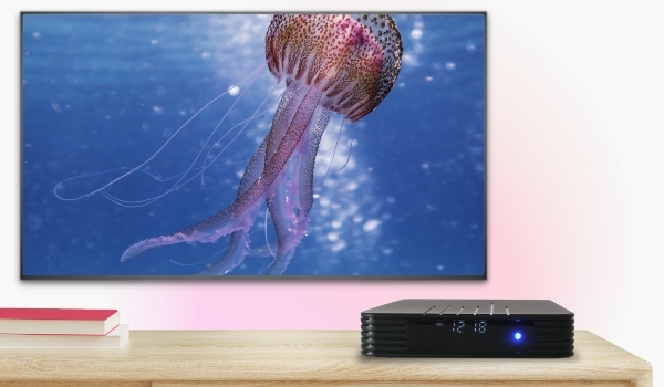 A digital signage media player drives beautiful content on a large commercial TV display.