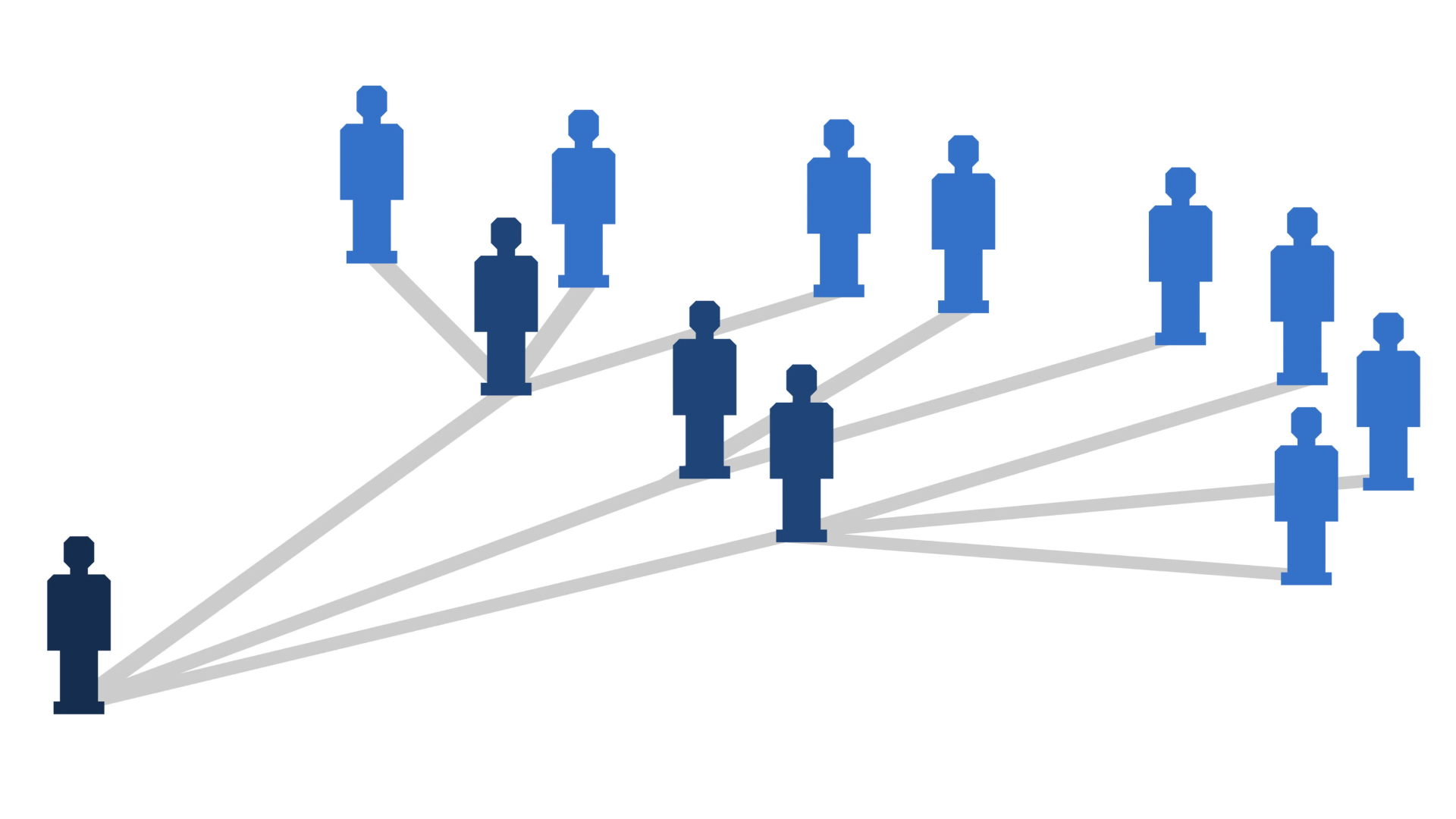 nformation cascade in digital era.