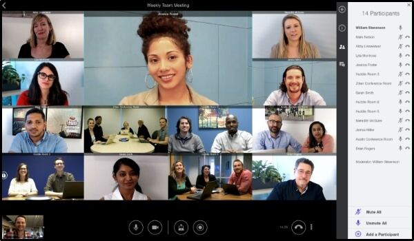 lifesize video conferencing software interface showing 14 participants in a weekly team meeting