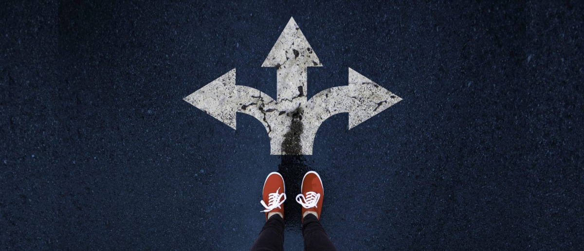  A person stands at a cross road with wayfinding signs pointing at 3 directions.